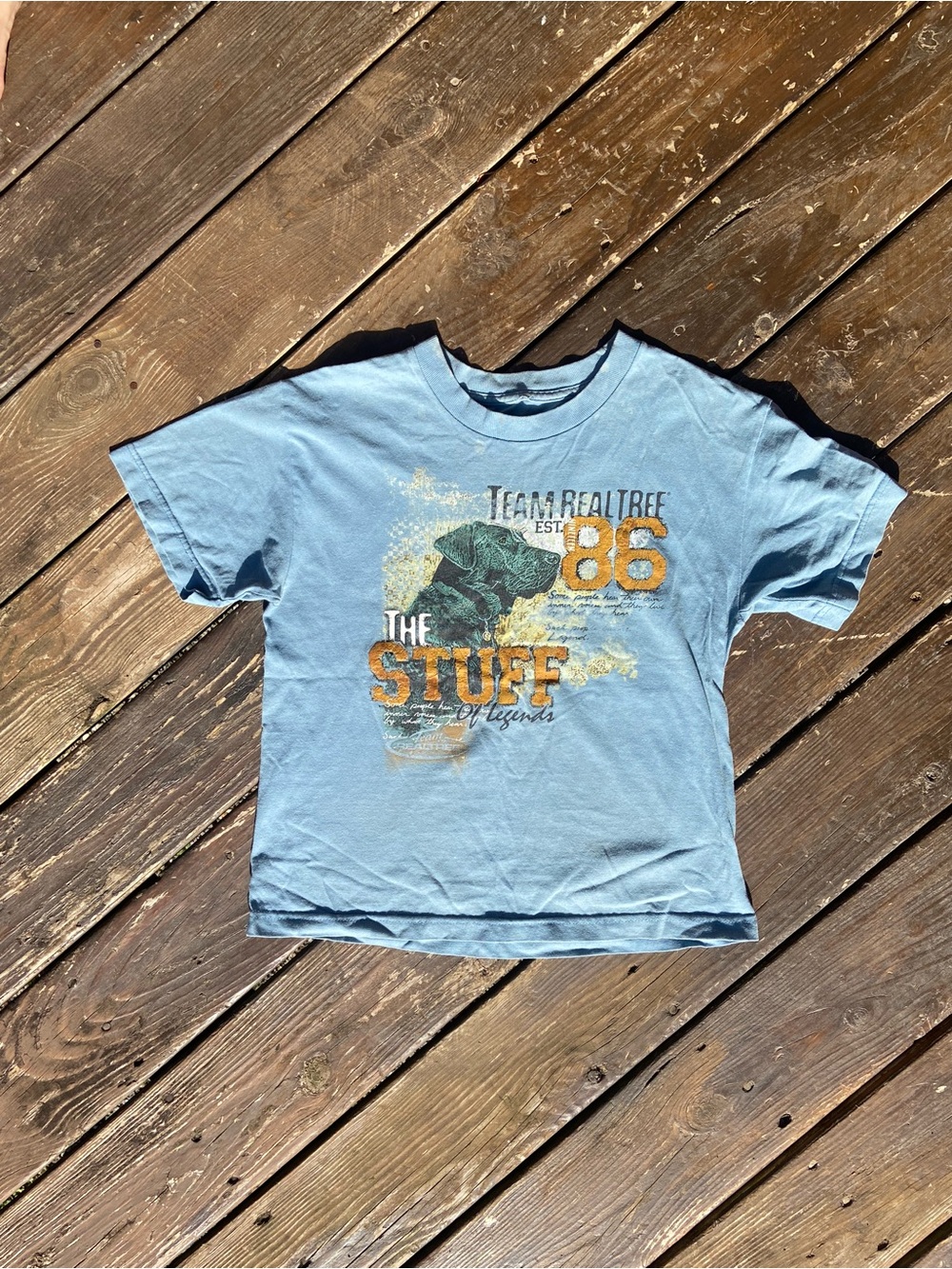 Blue vintage graphic tee